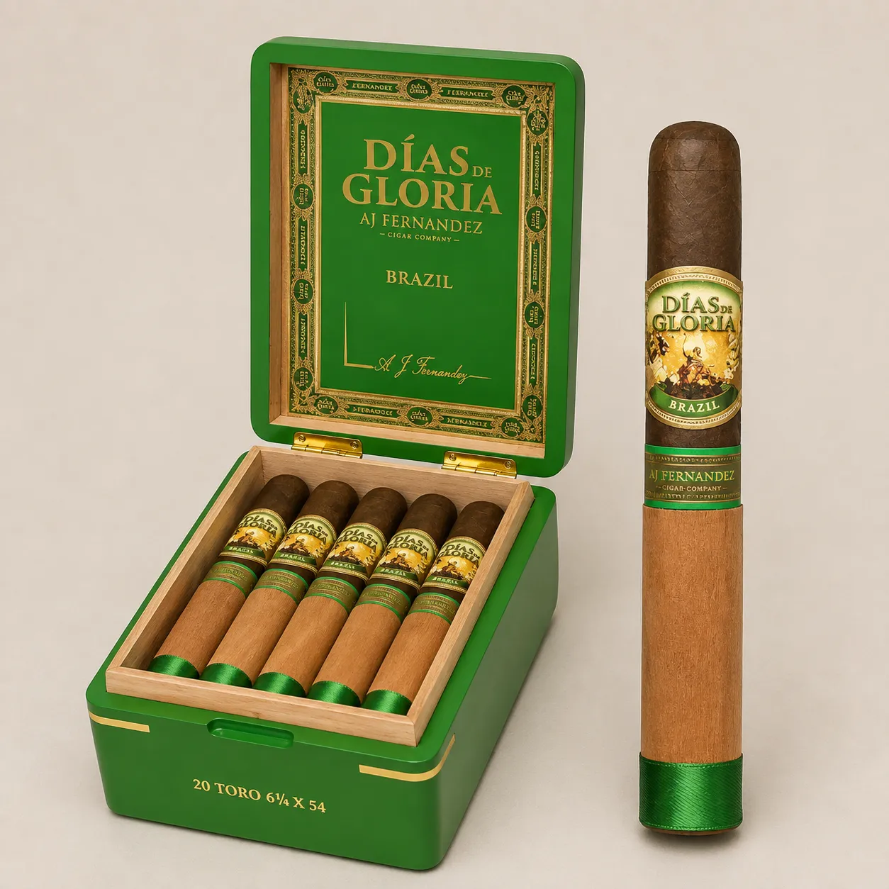 AJ FERNANDEZ DIAS DE GLORIA BRAZIL TORO (20)