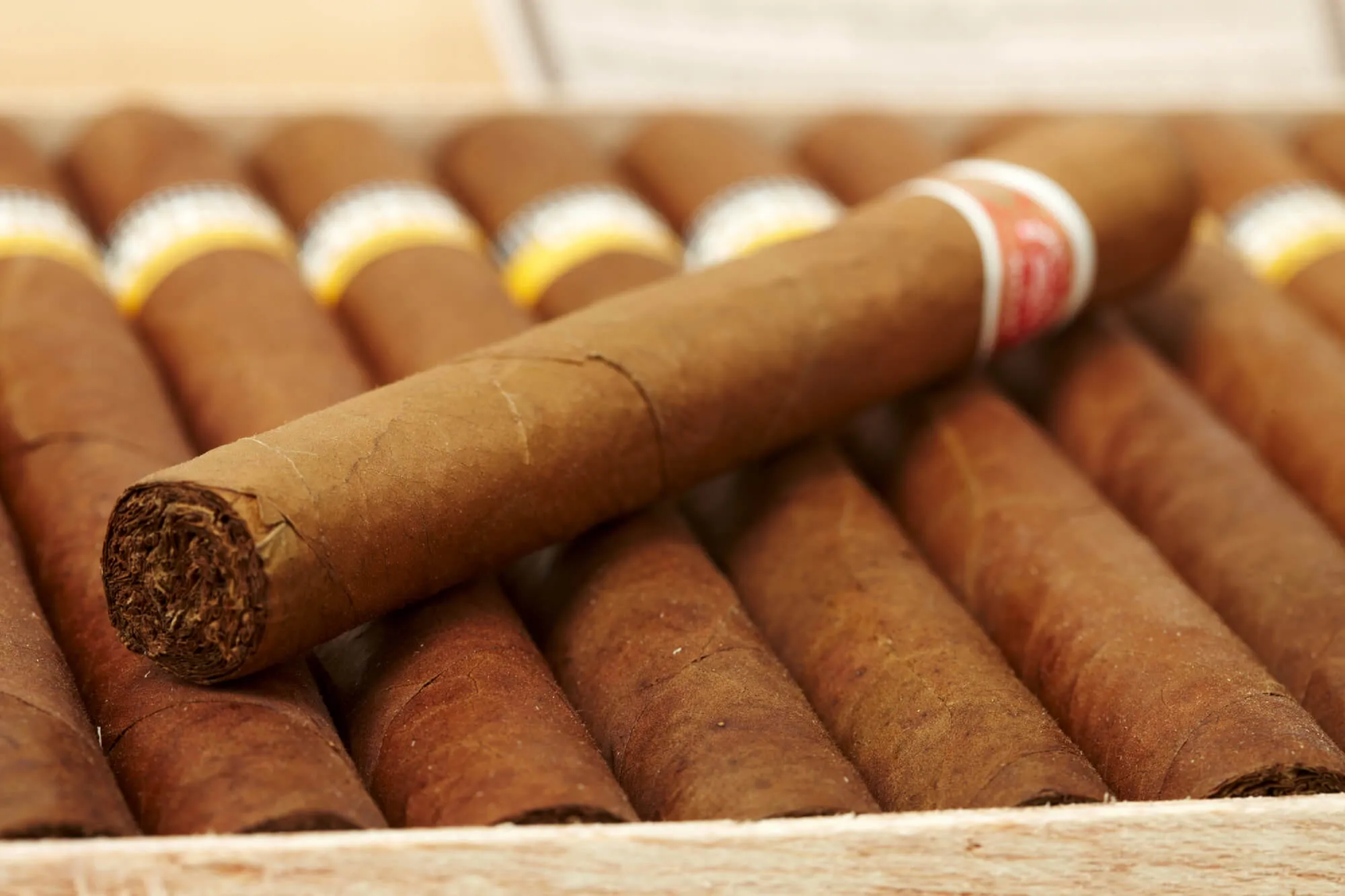Are Cuban Cigars Legal in the United States? Current 2026 Laws Explained